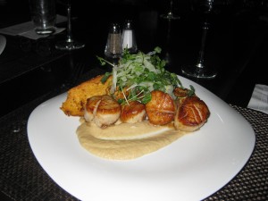 Scallops with fennel puree