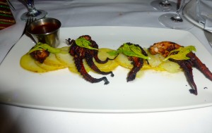 Octopus--801 Fish