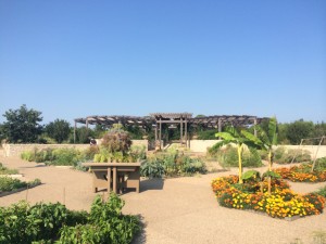 Powell Gardens