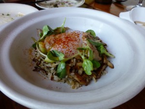 Soft cooked duck egg with fried rice--Odd Duck